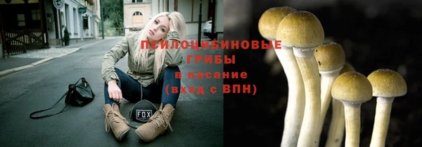 Альфа ПВП Медногорск