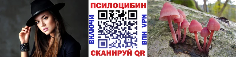 Галлюциногенные грибы прущие грибы  Красавино 